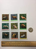 Wildlife Magnets