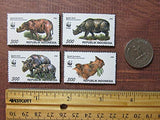 Rhino Magnets