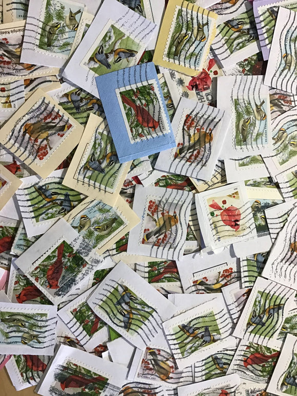 50 Winter bird postage stamps, Christmas, songbird craft supplies ephemera