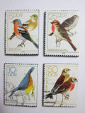 German Bird Magnets
