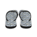 Dinosaur Flip Flops