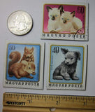 Baby Animals Recycled Postage Stamp Magnet Set #77
