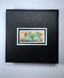 Cactus Desert Plant Framed #1942+
