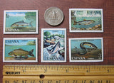 Fishing Magnets