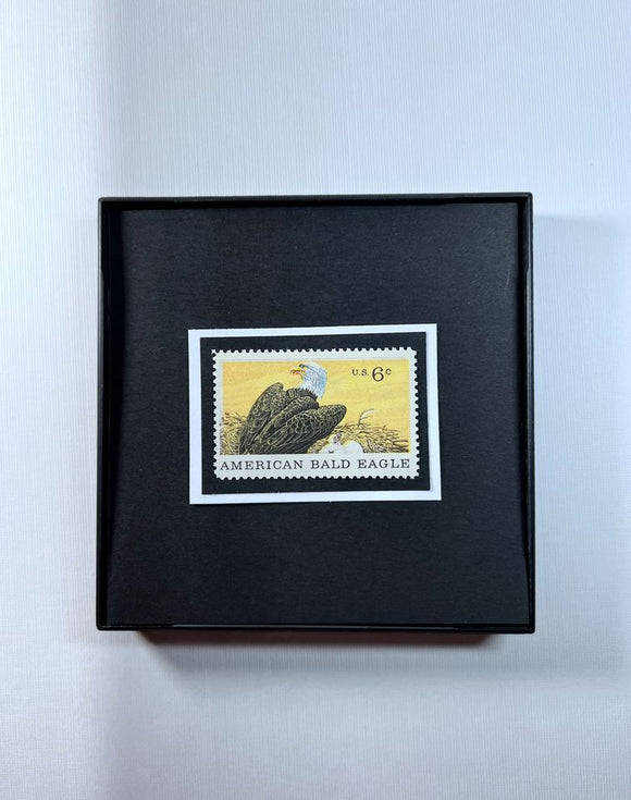 Bald Eagle 1970 Framed #1387