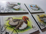 Duck Recycled Postage Stamp Magnet Set #577