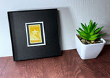 Gold Star Mothers Framed #969