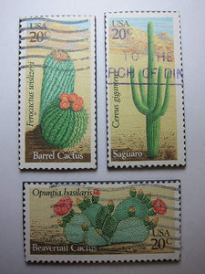 Cactus Magnets