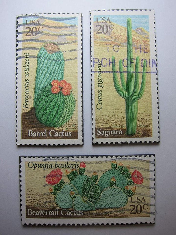 Cactus Magnets