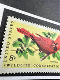 Cardinal Framed #1465