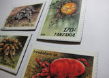 Spiders Recycled Postage Stamp Magnet Set #75
