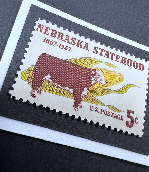 Nebraska Framed #1328