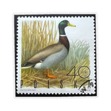 Duck Stamp Sticker