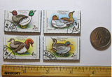 Duck Recycled Postage Stamp Magnet Set #577