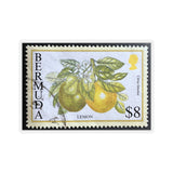 Lemon Citrus Bermuda Stamp Sticker