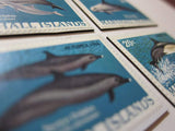 Dolphin Magnets