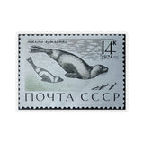 Seal Stamp Sticker