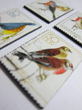 German Bird Magnets