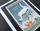 Whooping Crane 1957 Framed #1098