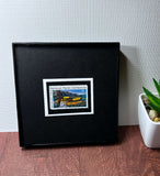 Wolf Trap Framed #1452