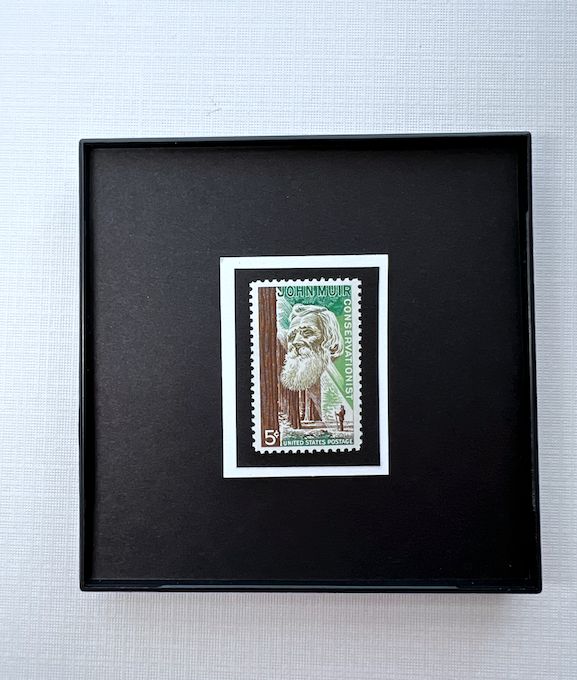 Conservation 1964 Framed #1245