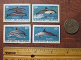 Dolphin Magnets