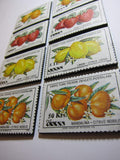 Turkish Fruit Magnets