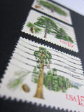 Trees Framed Postage Stamp Art
