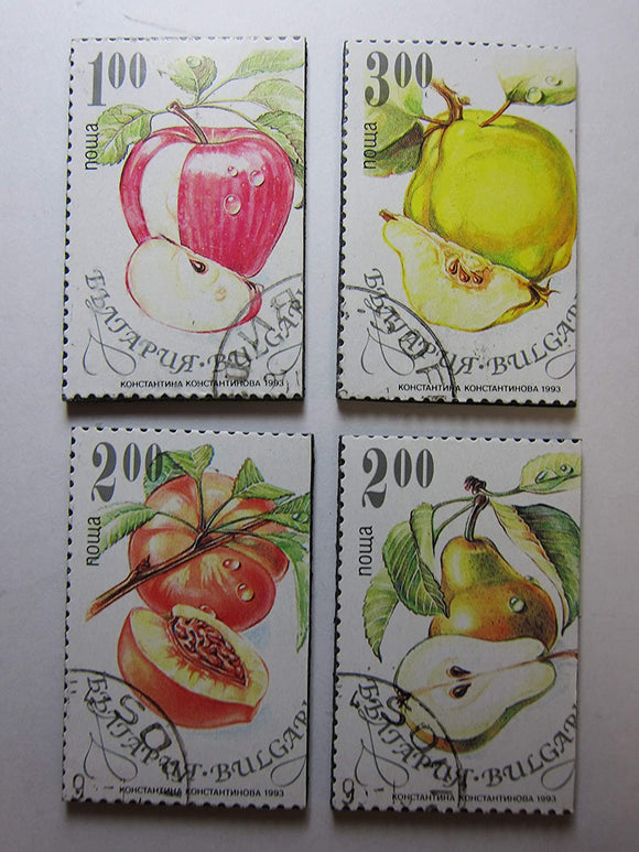 Fruit Magnets
