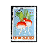 Beets Stamp Sticker