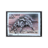 Spider Stamp Sticker