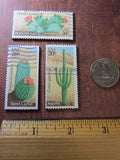 Cactus Magnets