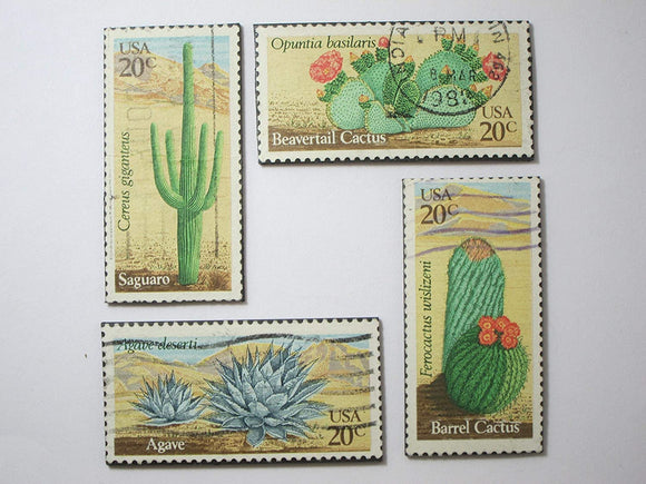 Cactus Desert Plant Magnets