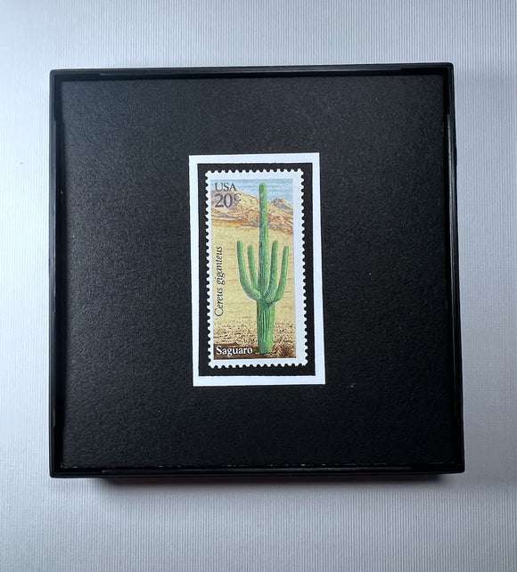 Cactus Desert Plant Framed #1942+