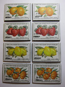 Turkish Fruit Magnets