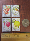 Fruit Magnets