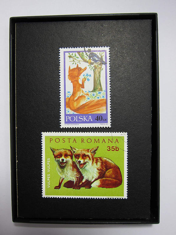 Fox Framed