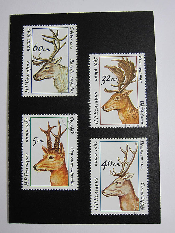 Antlers Framed Stamp Art