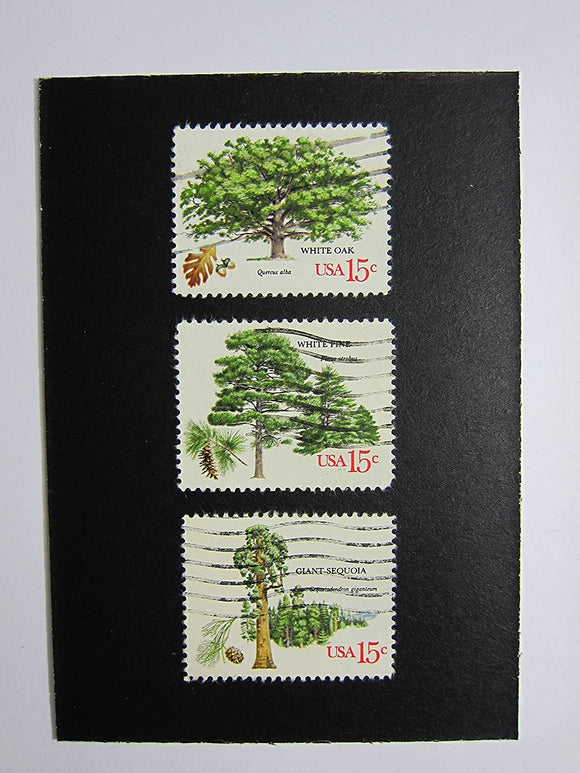 Trees Framed Postage Stamp Art