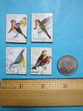 German Bird Magnets