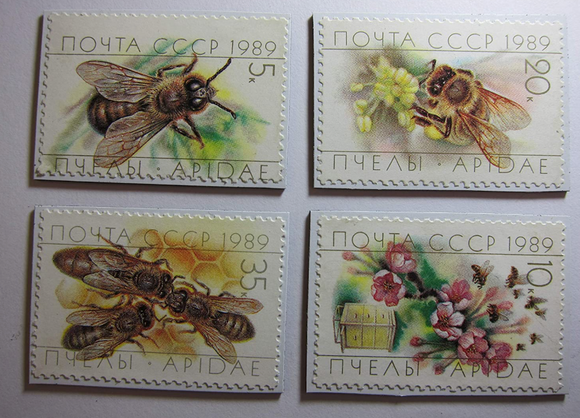 Bee Magnets