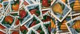Fruit Keychains