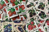 Fruit Keychains