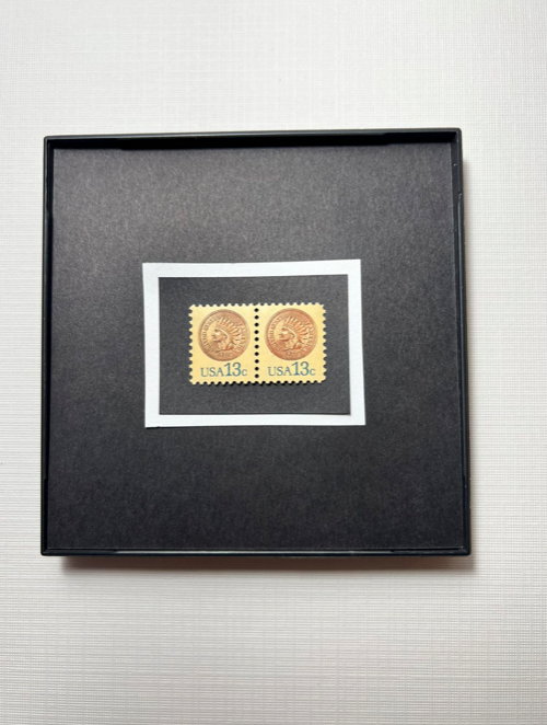 Indian Head Penny 1978 Framed #1734