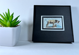 Horn Sheep Framed #1467