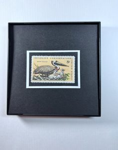 Pelican 1972 Framed #1466