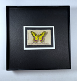 Butterfly 1977 Framed #1712+