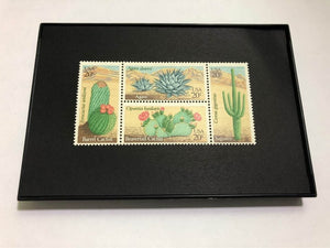 Cactus 1981 Framed #1942