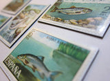 Fishing Magnets