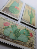 Cactus Desert Plant Recycled Postage Stamp Magnet Set #503B